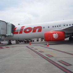 Lion Airways
